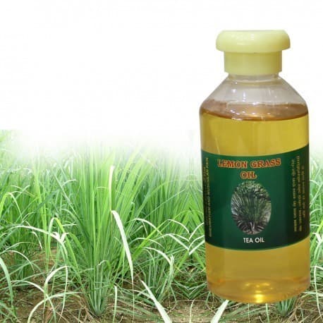 Lemon Grass Oil